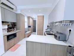 The Florence Residences (D19), Apartment #502791181